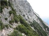 Monte Scinauz ki so potekala po južnih pobočjih pod steno